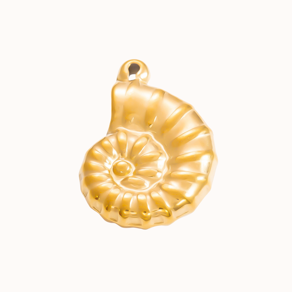 Spiral Shell Isla Eme
