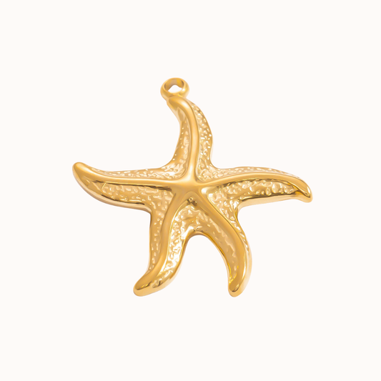 Pointy Sea Star Isla Eme