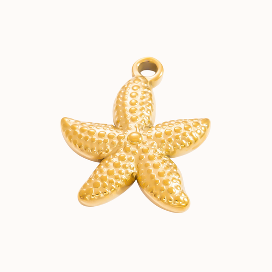 Rounded Sea Star Isla Eme