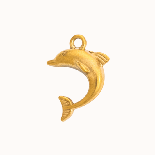 Dolphin Isla Eme