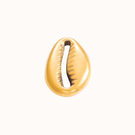 Cowrie Shell Isla Eme