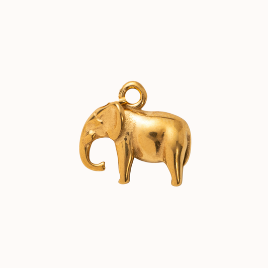 Elephant Isla Eme