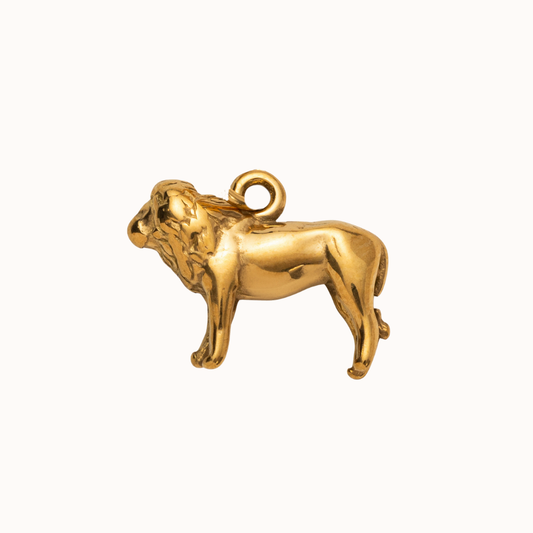 Lion Isla Eme